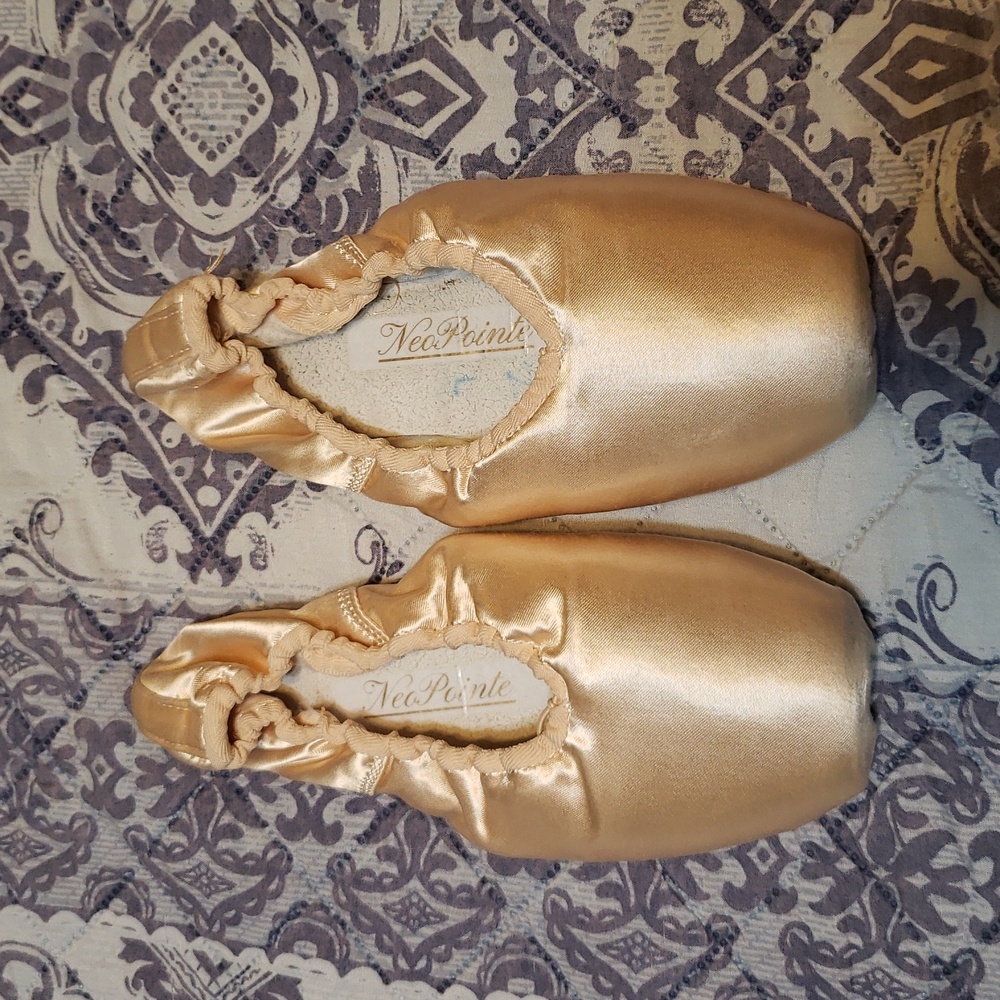 Nikolay 6.5 Pink NEOPOINTE ballet Shoes
